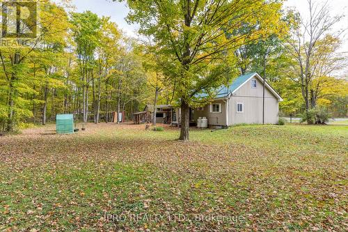 3857 County Rd 36 Road, Galway-Cavendish And Harvey, ON - Outdoor