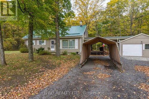 3857 County Rd 36 Road, Galway-Cavendish And Harvey, ON - Outdoor