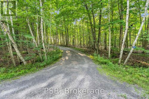 1047 Sands Road, Muskoka Lakes, ON - Outdoor With View