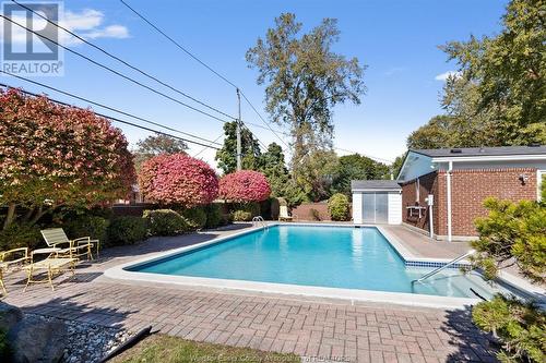 3585 Huntington, Windsor, ON - Outdoor With In Ground Pool With Backyard