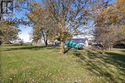 3682 Wheeler Line, Tilbury, ON - Outdoor With View