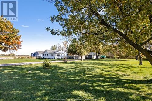 3682 Wheeler Line, Tilbury, ON - Outdoor