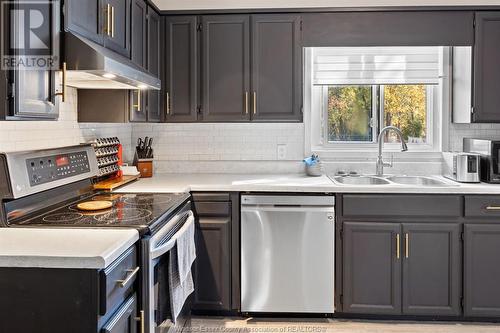 3682 Wheeler Line, Tilbury, ON - Indoor Photo Showing Kitchen With Double Sink