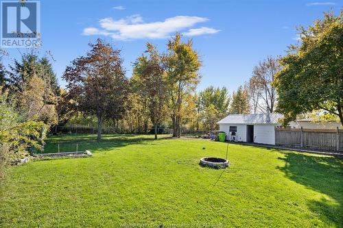 3682 Wheeler Line, Tilbury, ON - Outdoor With Backyard