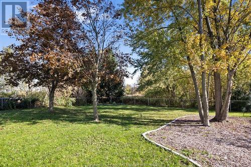 3682 Wheeler Line, Tilbury, ON - Outdoor