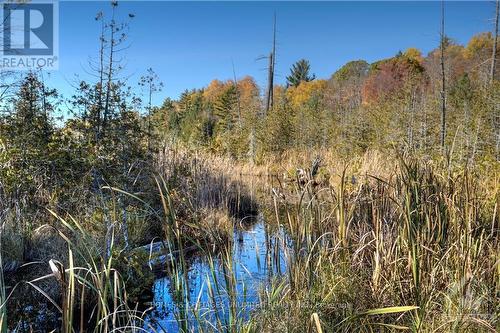 1268A South Road, North Frontenac (Frontenac North), ON 