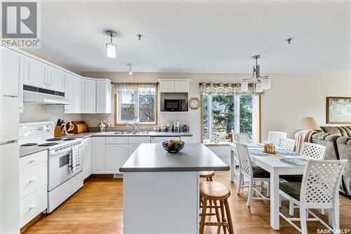 202 205 Mcintyre Street N, Regina, SK - Indoor Photo Showing Kitchen With Double Sink