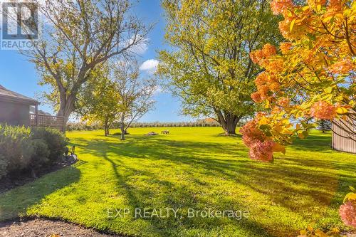 905 Blueline Road, Norfolk, ON - Outdoor With View