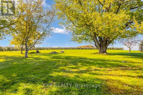 905 Blueline Road, Norfolk, ON - Outdoor With View