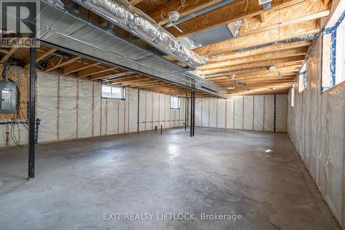 25 Maryann Lane, Asphodel-Norwood (Norwood), ON - Indoor Photo Showing Basement