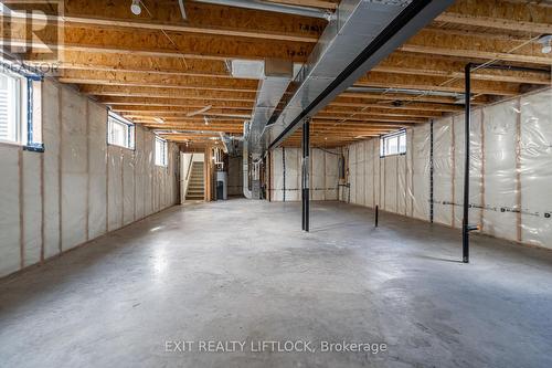 25 Maryann Lane, Asphodel-Norwood (Norwood), ON - Indoor Photo Showing Basement