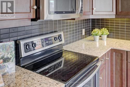 201 - 223 Erb Street W, Waterloo, ON - Indoor Photo Showing Kitchen