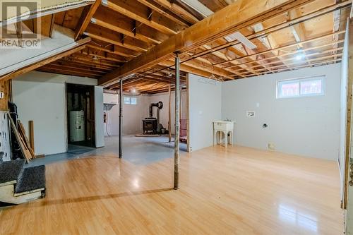 95 Motion Bay Road, Maddox Cove Petty Harbour, NL - Indoor Photo Showing Basement