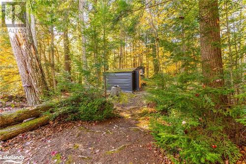 1017 Palace Drive, Haliburton, ON - Outdoor