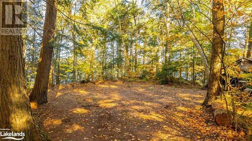 1017 Palace Drive, Haliburton, ON - Outdoor With View