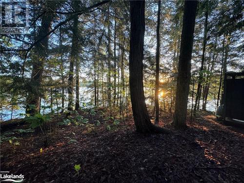 1017 Palace Drive, Haliburton, ON - Outdoor With View