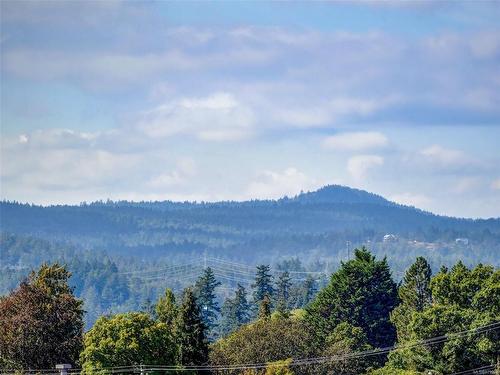 303-4052 Douglas St, Saanich, BC - Outdoor With View