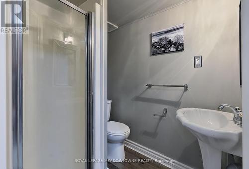 5344 Durie Road, Mississauga, ON - Indoor Photo Showing Bathroom