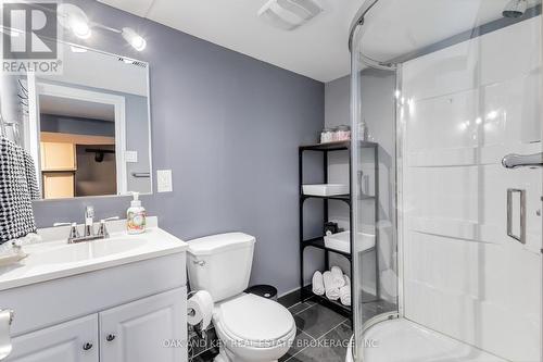 87 Elgin Street, London, ON - Indoor Photo Showing Bathroom