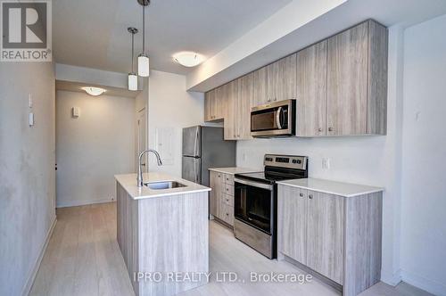 D-14 - 10 Palace Street, Kitchener, ON - Indoor Photo Showing Kitchen