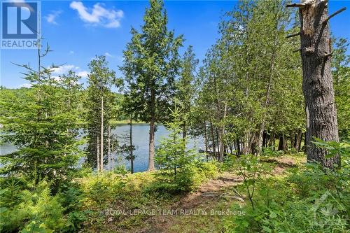 9687 Mississippi River, North Frontenac (Frontenac North), ON - Outdoor With View