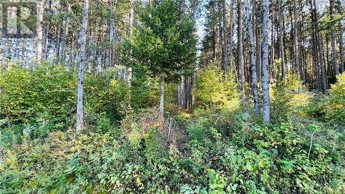 Lot 28 Part 1 Chiswick Line, Chisholm, ON 