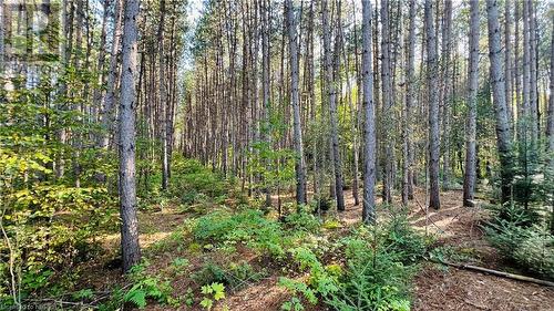 Lot 28 Part 1 Chiswick Line, Chisholm, ON 