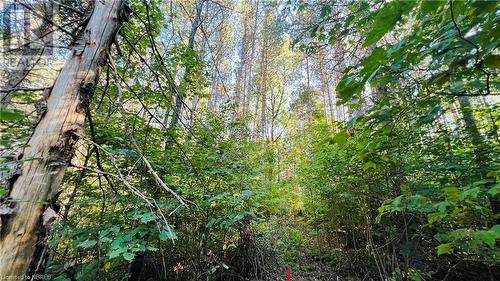 Lot 28 Part 1 Chiswick Line, Chisholm, ON 