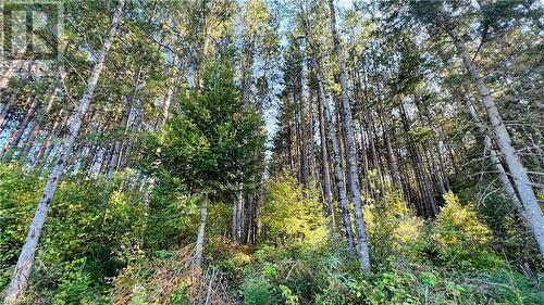 Lot 28 Part 1 Chiswick Line, Chisholm, ON 