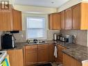 100 Reid Avenue S, Hamilton, ON  - Indoor Photo Showing Kitchen With Double Sink 