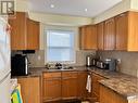 100 Reid Avenue S, Hamilton, ON  - Indoor Photo Showing Kitchen With Double Sink 