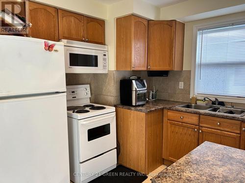 100 Reid Avenue S, Hamilton, ON - Indoor Photo Showing Kitchen With Double Sink