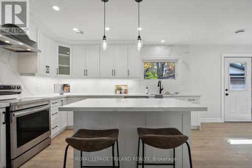 57 Sunray Avenue, London, ON - Indoor Photo Showing Kitchen With Upgraded Kitchen