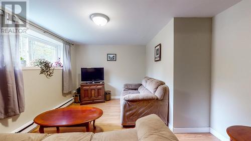 322 Canada Drive, St. John'S, NL - Indoor Photo Showing Living Room