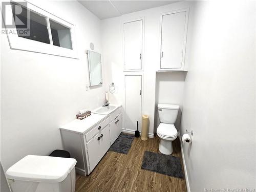 268 Victoria Street, Edmundston, NB - Indoor Photo Showing Bathroom