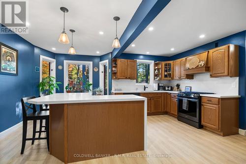 46 French Crescent, East Gwillimbury, ON - Indoor Photo Showing Kitchen