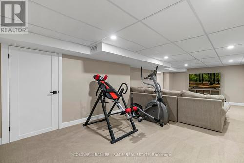 46 French Crescent, East Gwillimbury, ON - Indoor Photo Showing Basement