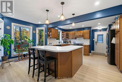 46 French Crescent, East Gwillimbury, ON - Indoor Photo Showing Kitchen