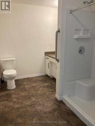 206 - 850 Alpha Street, Owen Sound, ON - Indoor Photo Showing Bathroom