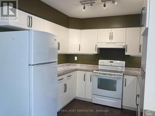 206 - 850 Alpha Street, Owen Sound, ON - Indoor Photo Showing Kitchen