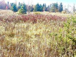 LOT 2 SELKIRK PARK Road  Belfast, PE C0A 1A0