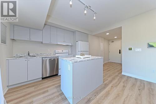 216 - 50 Herrick Ave Avenue N, St. Catharines, ON - Indoor Photo Showing Kitchen