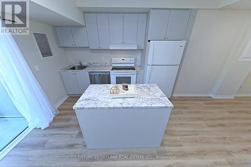 216 - 50 Herrick Ave Avenue N, St. Catharines, ON - Indoor Photo Showing Kitchen