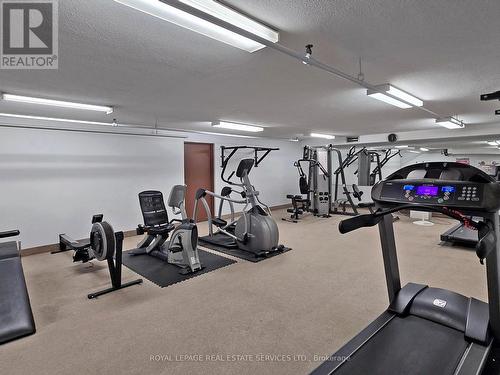 704 - 61 Richview Road, Toronto, ON - Indoor Photo Showing Gym Room