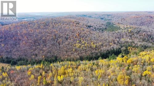 1379B Peterson Road, Hastings Highlands, ON - Outdoor With View