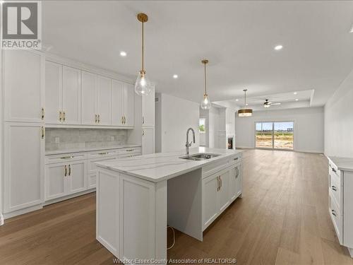 3265 Tullio Drive, Lasalle, ON - Indoor Photo Showing Kitchen With Double Sink With Upgraded Kitchen