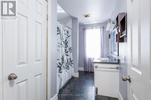 205 William Street N, Kawartha Lakes (Lindsay), ON - Indoor Photo Showing Bathroom