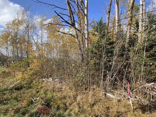 Lot 3A Highway 215, Noel, NS 