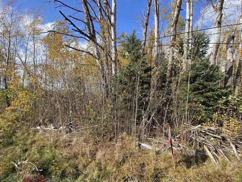 Lot 3A Highway 215, Noel, NS 