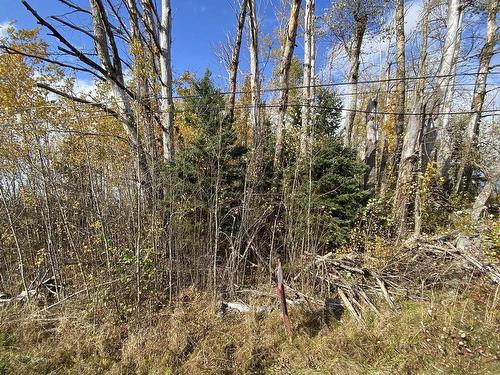 Lot 3A Highway 215, Noel, NS 